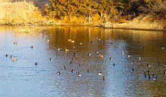 4000 E 110 Rd, Alva, OK 73717