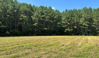 Pleasant Hill Road, Ashland, MS 38603