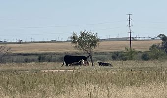 17616 N Private Road 2220, Abernathy, TX 79311