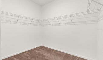 2367 LINER Ave, Apopka, FL 32703