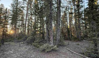 Happy Way lot 45, Angel Fire, NM 87710