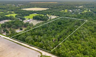 0 NW 40th Ave, Bell, FL 32619
