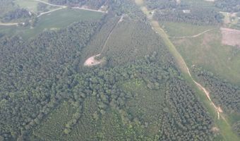 Ridgeland Road, Bassfield, MS 39421