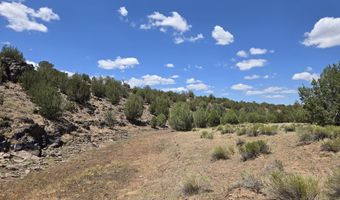 165 Off Old Hwy 66, Ash Fork, AZ 86320