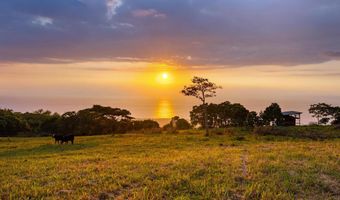 85-5195 KIILAE Rd, Captain Cook, HI 96704