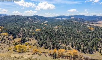 838 County Road 260, Westcliffe, CO 81252