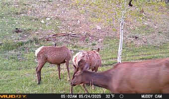 10643 CR 501, Bayfield, CO 81122