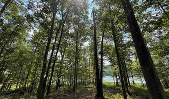 0 GIBSON COVE Dr 3 Acres, Ashville, AL 35953