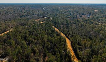 Rossville Avenue, Alford, FL 32420