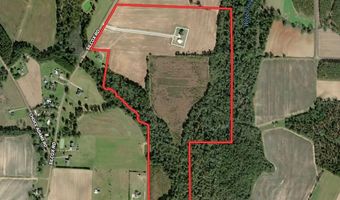 1243 Silcox Rd, Ashford, AL 36312
