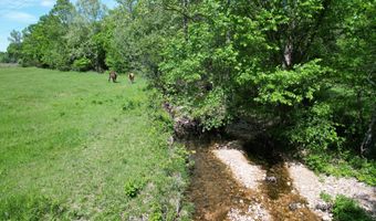 12459 County Road 5-402, Ava, MO 65608