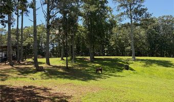 3204 Reavis Mountain Rd, Ball Ground, GA 30107