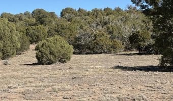 5 N8715, Concho, AZ 85924