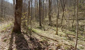 Gentry Farm Road, Aurora, NC 28743