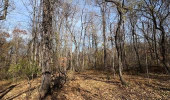 99- E Richmond Hwy, Amherst, VA 24521