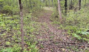 Tract 2 E Pine Road Common, Bloomfield, IN 47424