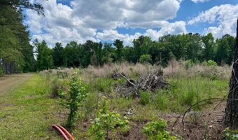 337 Weathers Farm Rd, Bowman, SC 29018