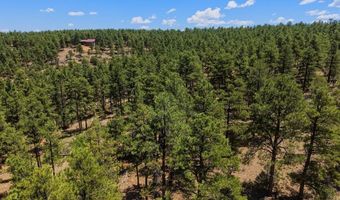 23251 Elk Trl, Aguilar, CO 81020