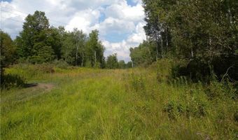 1454 Crane Ln, Woodhull, NY 14801
