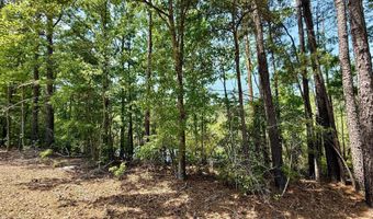 337 Weathers Farm Rd, Bowman, SC 29018