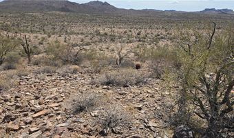 10 Acres 121-02-020, Yucca, AZ 86438