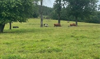 9250 County Road 905, Alpena, AR 72611