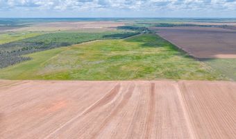 CR 260, Anson, TX 79501
