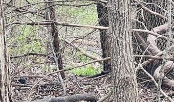 Hickory Street, Beggs, OK 74421