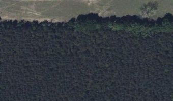 Jolene Road, Basile, LA 70515