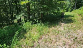 Lot 25 Legendary Parkway, Arley, AL 35541
