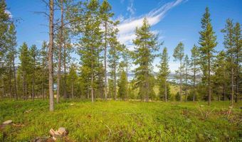 43 Elk Meadows Ln, Anaconda, MT 59711