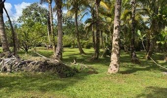 16-1774 40th Ave, Keaau, HI 96749