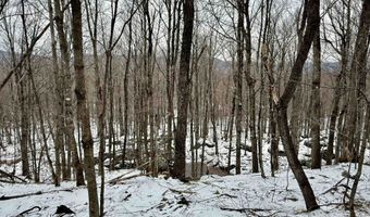 1207 Iron Gate Rd, Cambridge, VT 05444
