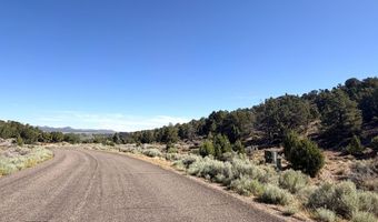 1037 S Canyon Dr, Cedar City, UT 84720