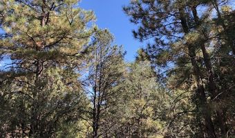 6 One Acre Lots NM 76, Truchas, NM 87578