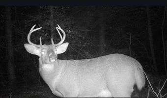 M 10 L 32-34 Suncook Valley Road, Barnstead, NH 03218