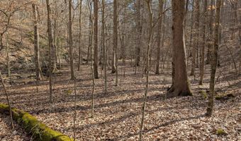 9999 Tip Top Rd, Beattyville, KY 41311