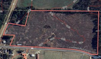 25 Acres Alabama Highway 68, Albertville, AL 35951