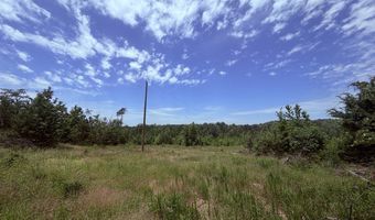 Tucker Road lot 13, Bath Springs, TN 38311
