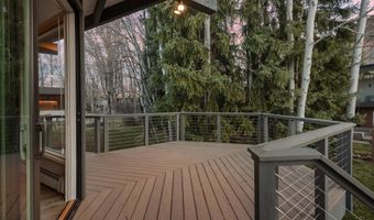 1650 Homestake Dr, Aspen, CO 81611