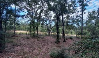 Lot 40 Alene Dr, Alford, FL 32420