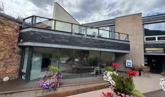 620 E Hyman Ave 2, Aspen, CO 81611