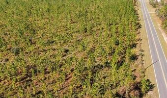 21526 NW Isoletta Ln, Altha, FL 32421