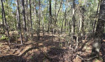 7501 Rainey Morris Rd, Appling, GA 30802