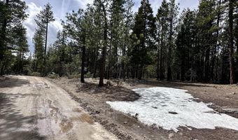Blackbird Drive 10 & 11, Bonanza, OR 97623