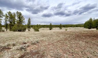 99 Big Notch Forest Trl, Bluewater, NM 87005