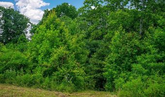 15 Acres Willow Grove Hwy, Allons, TN 38541