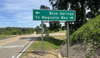 0 W HWY 178, Blue Springs, MS 38828