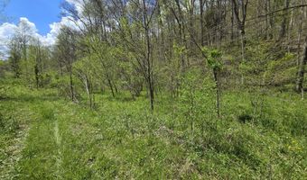 0 Hale Ridge Rd, Beattyville, KY 41311