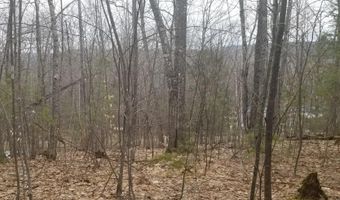 Lot 49 Adams Road, Chesterville, ME 04938